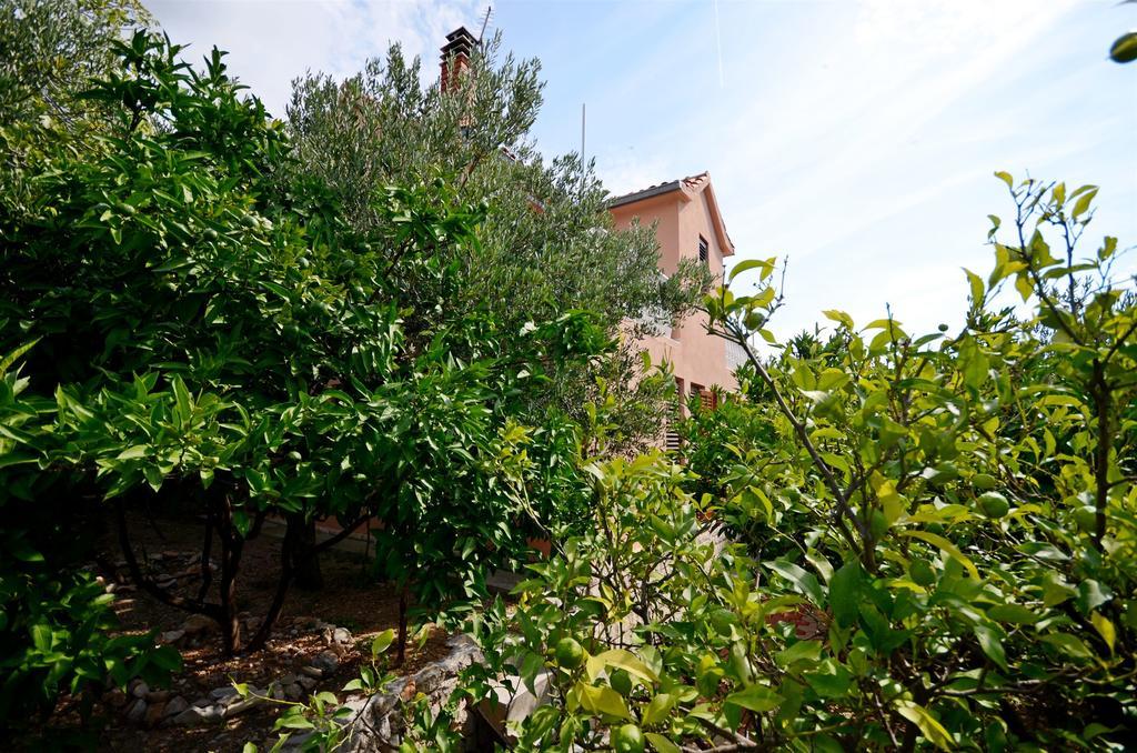 Villa House Miroslav Podgora Exterior foto